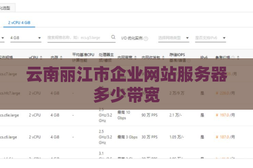 云南丽江市企业网站服务器多少带宽