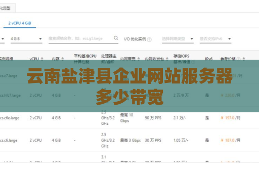 云南盐津县企业网站服务器多少带宽
