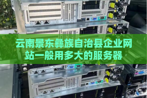 云南景东彝族自治县企业网站一般用多大的服务器