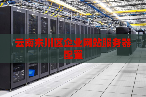 云南东川区企业网站服务器配置