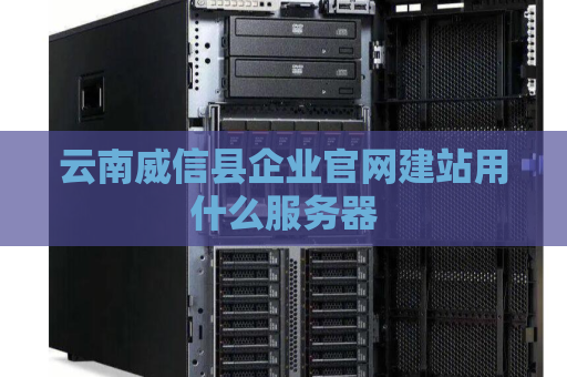 云南威信县企业官网建站用什么服务器