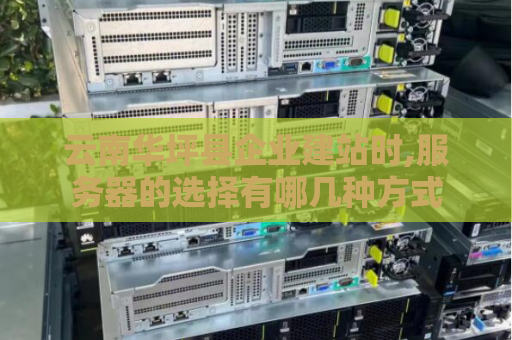云南华坪县企业建站时,服务器的选择有哪几种方式