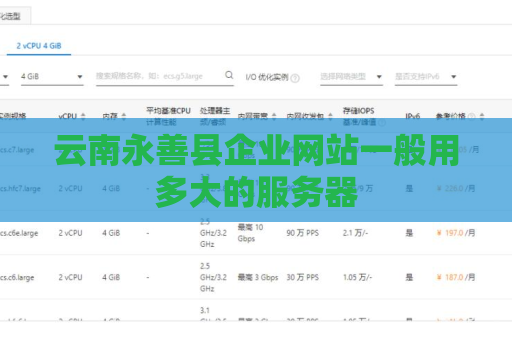 云南永善县企业网站一般用多大的服务器