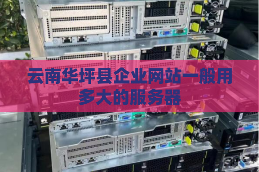 云南华坪县企业网站一般用多大的服务器