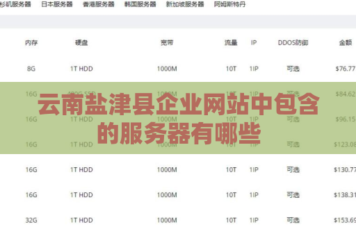 云南盐津县企业网站中包含的服务器有哪些